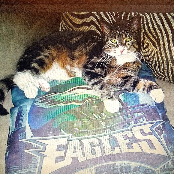 Meet your Posher, JuliAnn - Picture 11 of 16